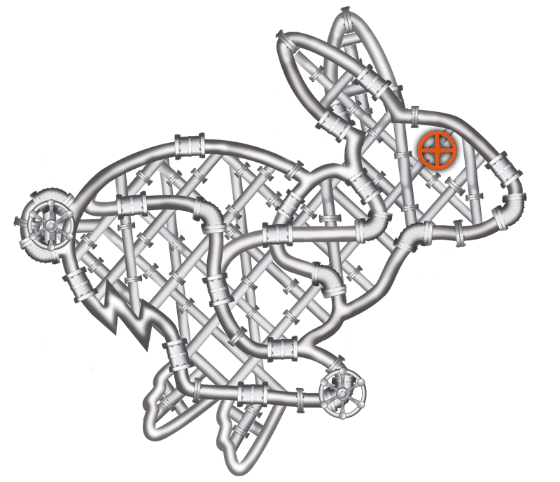 MVP Rabbit2